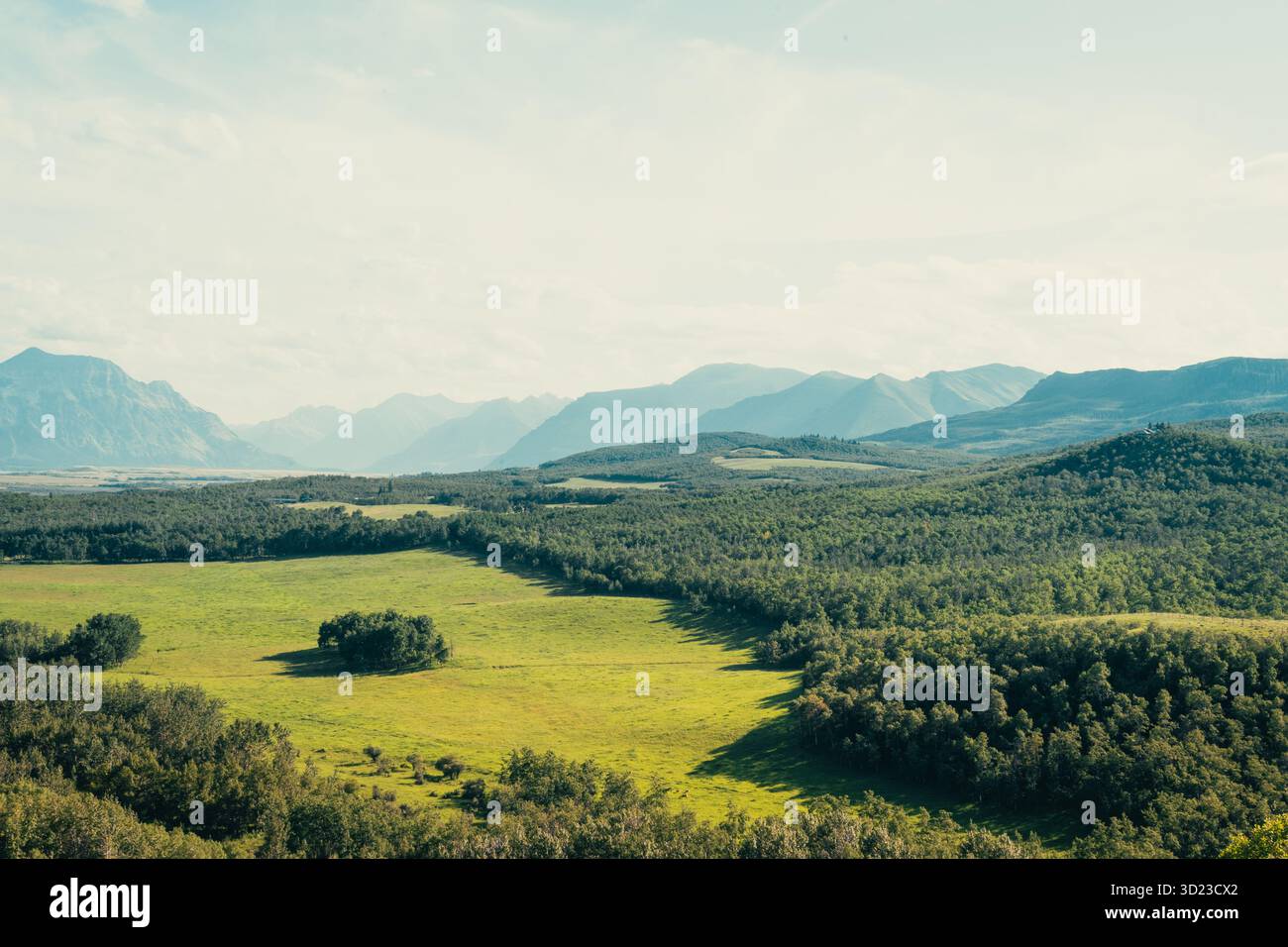 Pittoresco paesaggio montano con foresta e prato sotto un cielo blu. Pincher Creek, Alberta Foto Stock