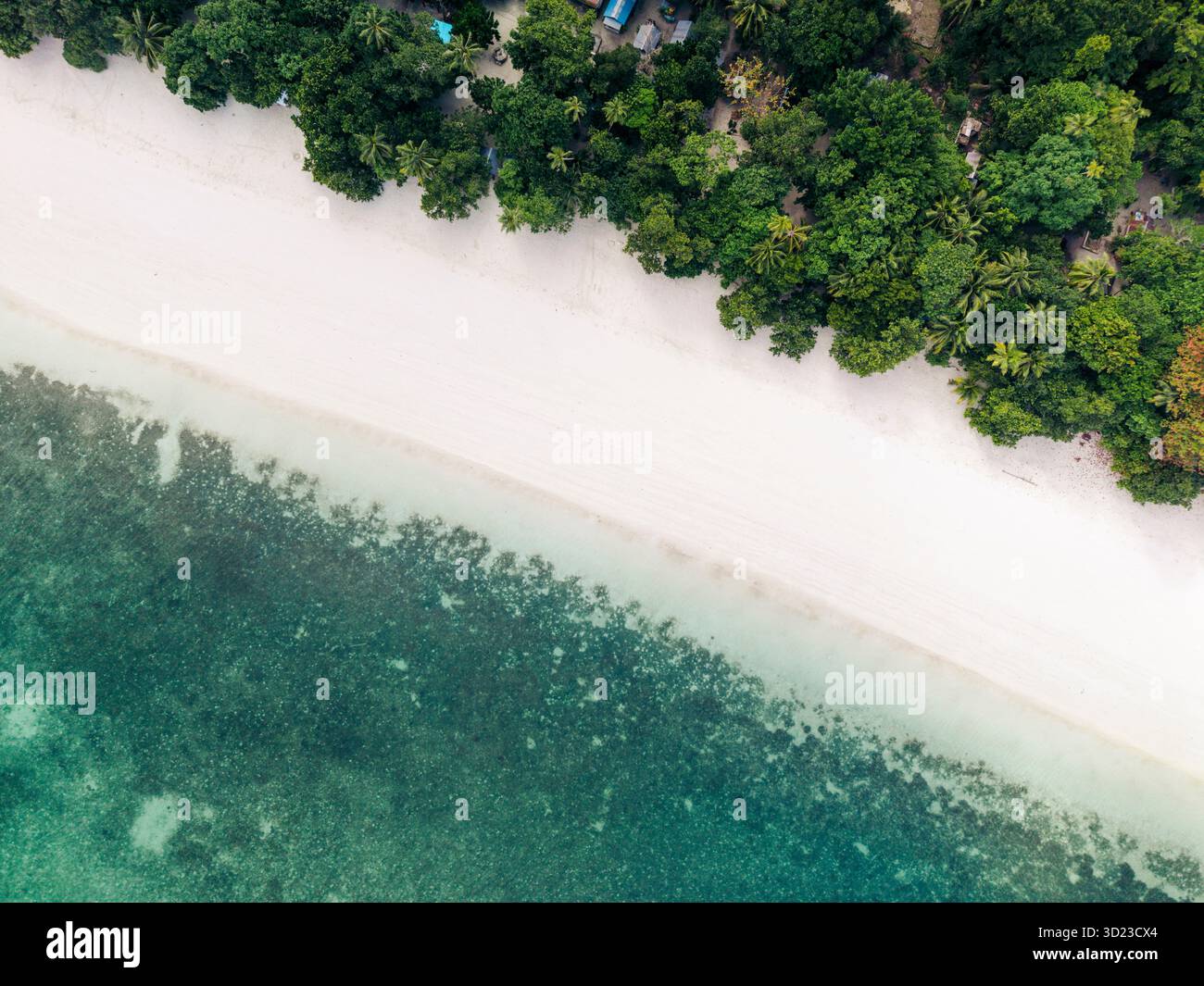 Vista aerea di una spiaggia tropicale incontaminata con vegetazione lussureggiante e acque cristalline. Pantai Ngurbloat o Ngurbloat Beach a Kei Kecil, Maluku sud-est, Maluku, Indonesia Foto Stock