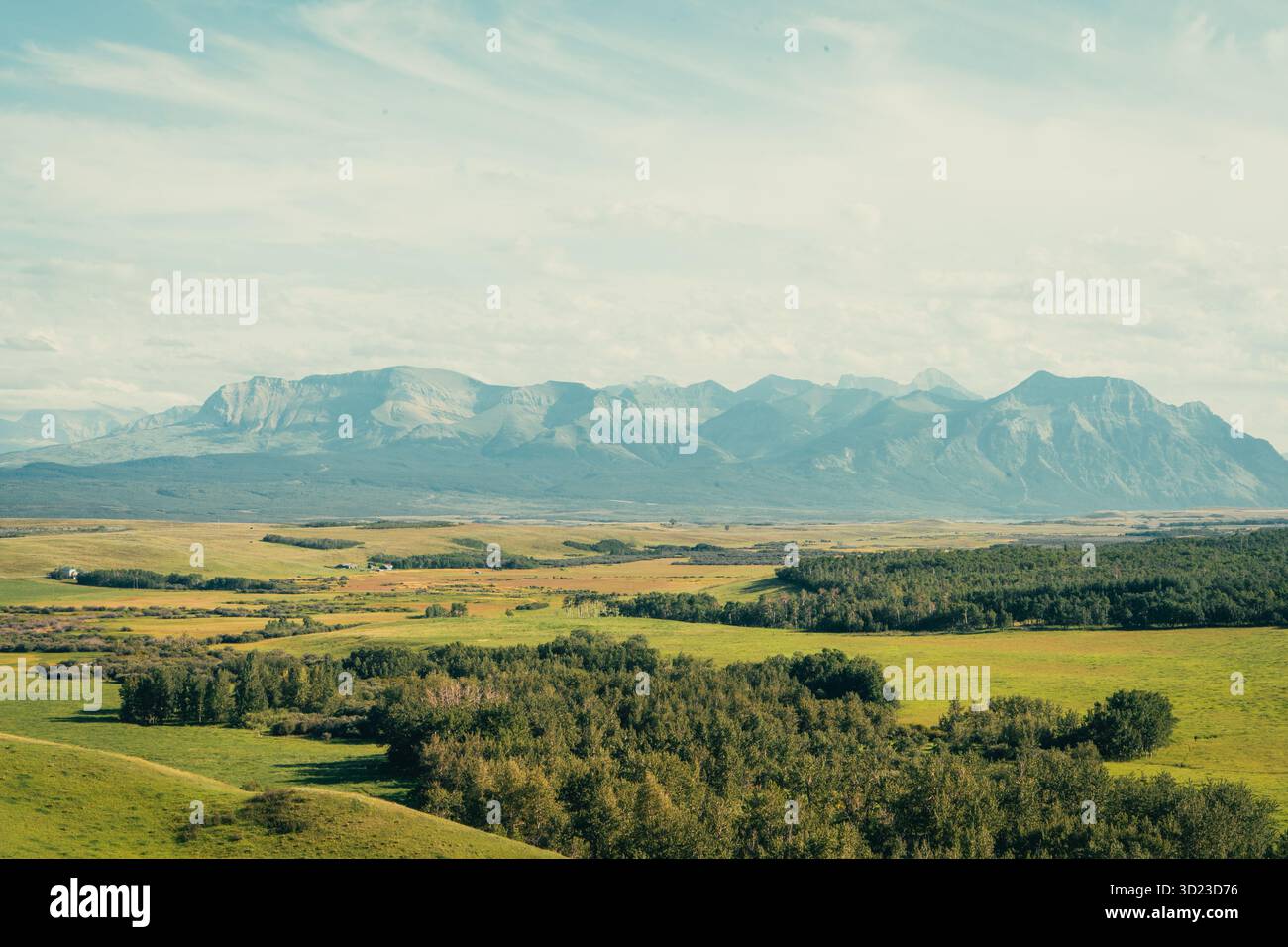 Una vista delle montagne in lontananza con alberi e un campo sottostante. Pincher Creek, Alberta Foto Stock