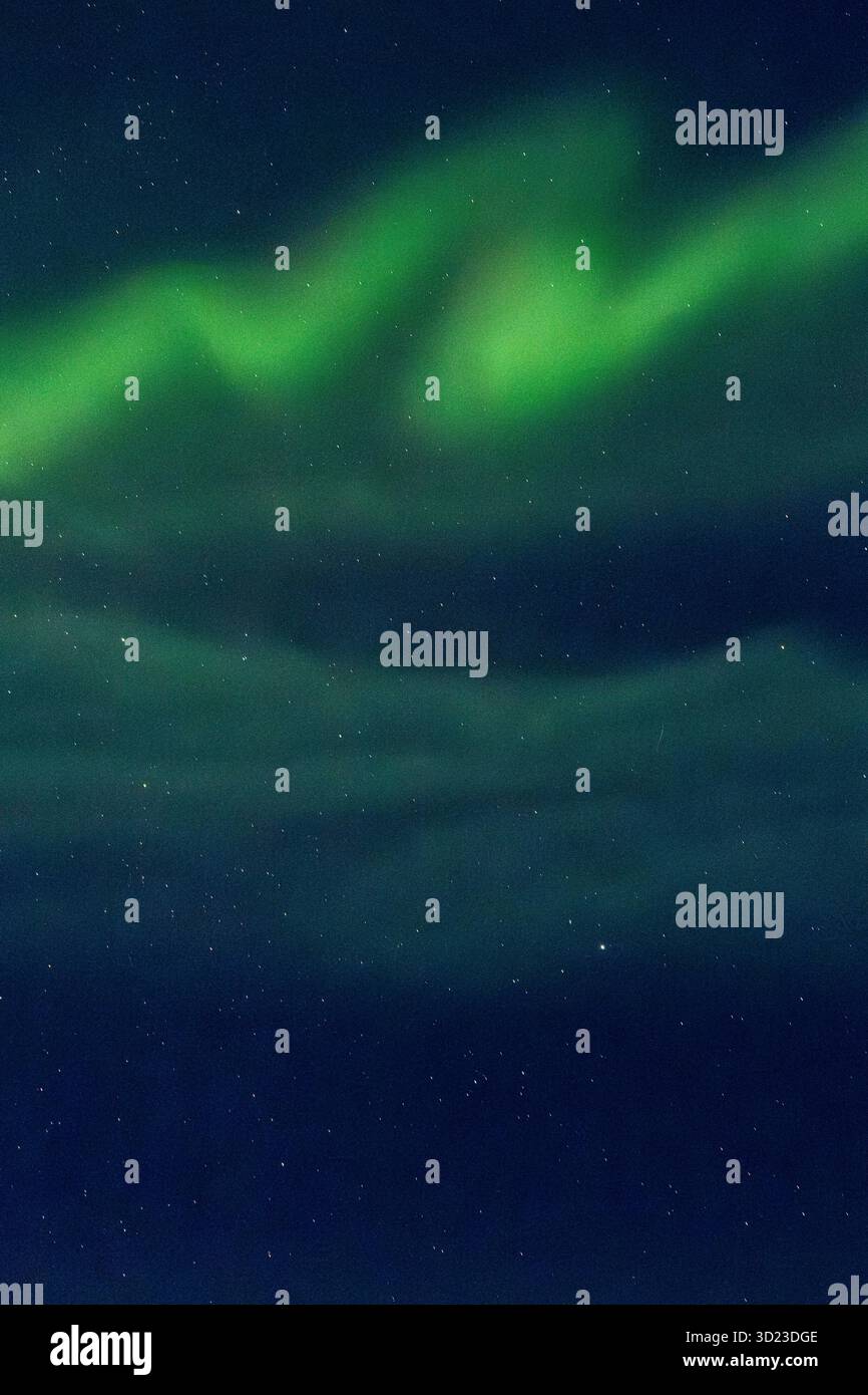 l'aurora boreale verde vivace illumina il cielo stellato notturno su un paesaggio scuro. Baia di Hudson, Churchill, Manitoba, Canada Foto Stock