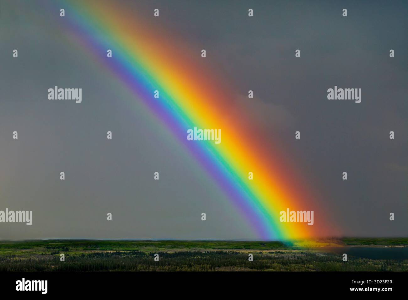 Un vivace arcobaleno si erge su un cielo scuro e nuvoloso sopra un lussureggiante paesaggio verde. Calgary, Canada Foto Stock