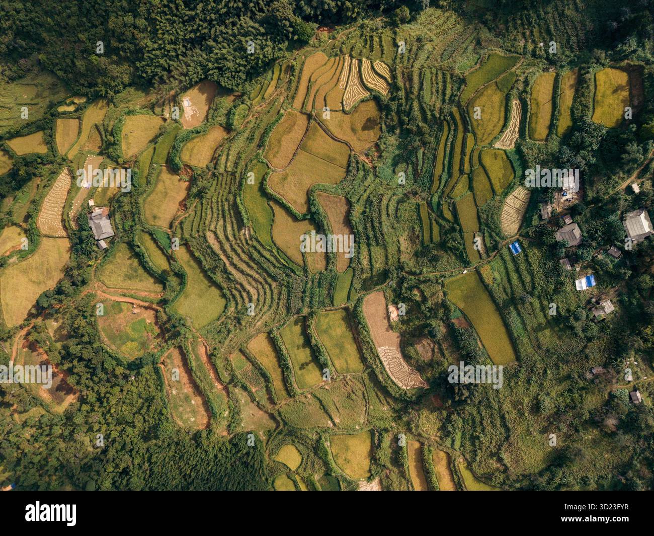 Vista aerea delle vivaci risaie terrazze e della lussureggiante vegetazione in un paesaggio rurale. Distretto di Nguyen BHNh, Cao Bang, Vietnam Foto Stock