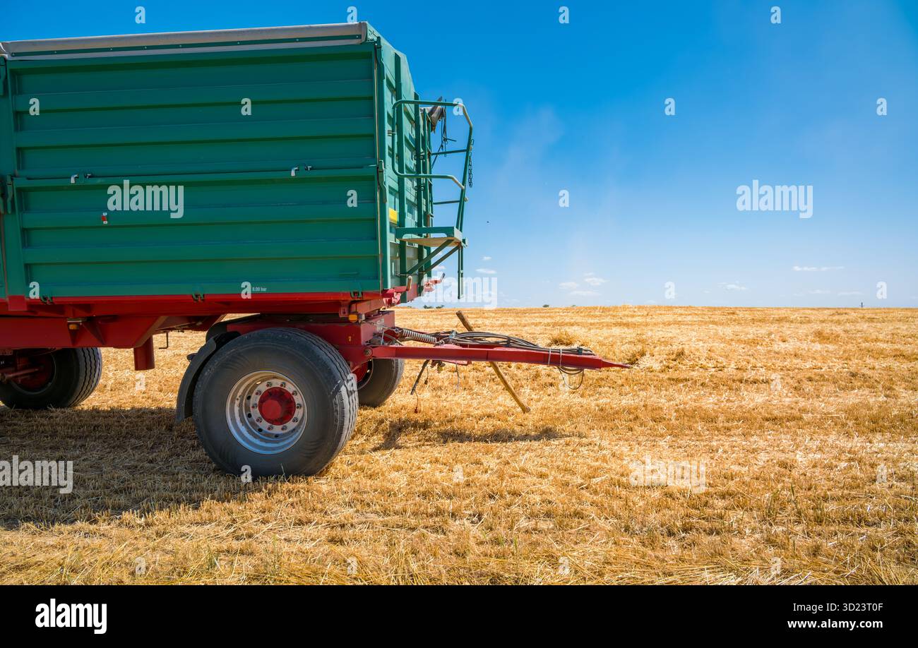 Un rimorchio agricolo verde parcheggiato in un campo di grano dorato sotto un cielo azzurro. Foto Stock
