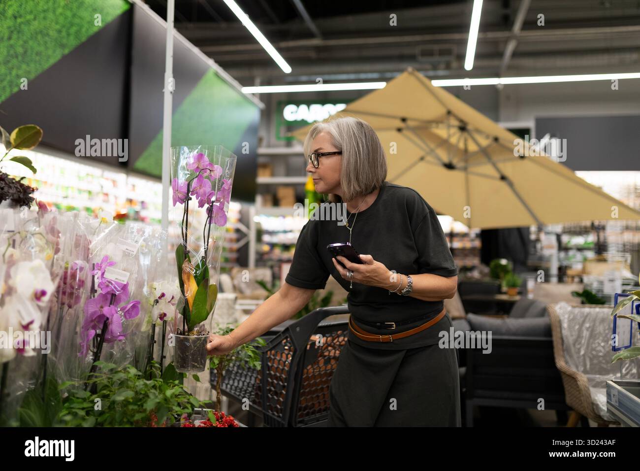 Shopping di orchidee in un centro giardino durante il giorno Foto Stock