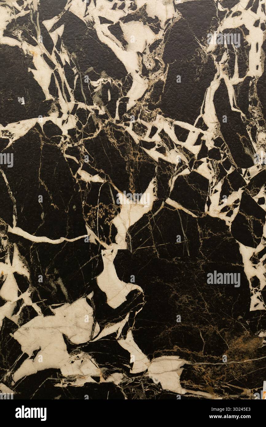 Motivo in marmo bianco e nero con venature audaci e texture ricche, perfetto per l'interior design o progetti artistici Foto Stock