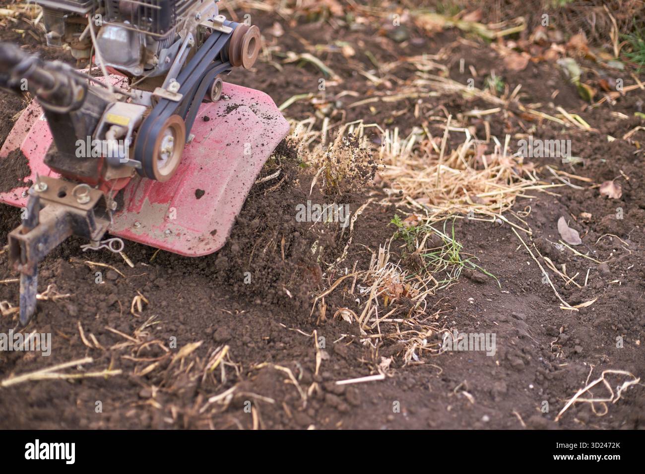 Rototista rosso che coltiva il terreno in un giardino con erba secca e foglie in autunno Foto Stock