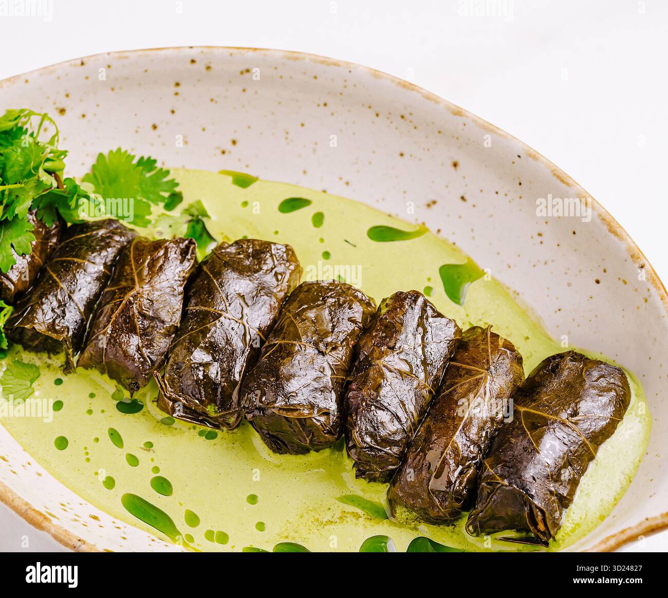 Esplorando i tradizionali sapori dolmanici con rotoli di foglie d'uva splendidamente presentati Foto Stock