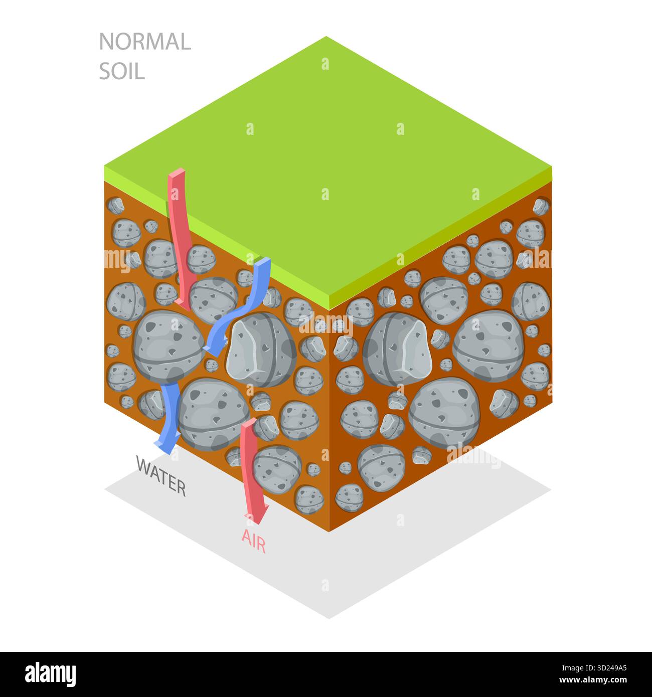 Illustrazione piatta isometrica 3D del metodo di compattazione del suolo, tipi di messa a terra. Punto 2 Foto Stock