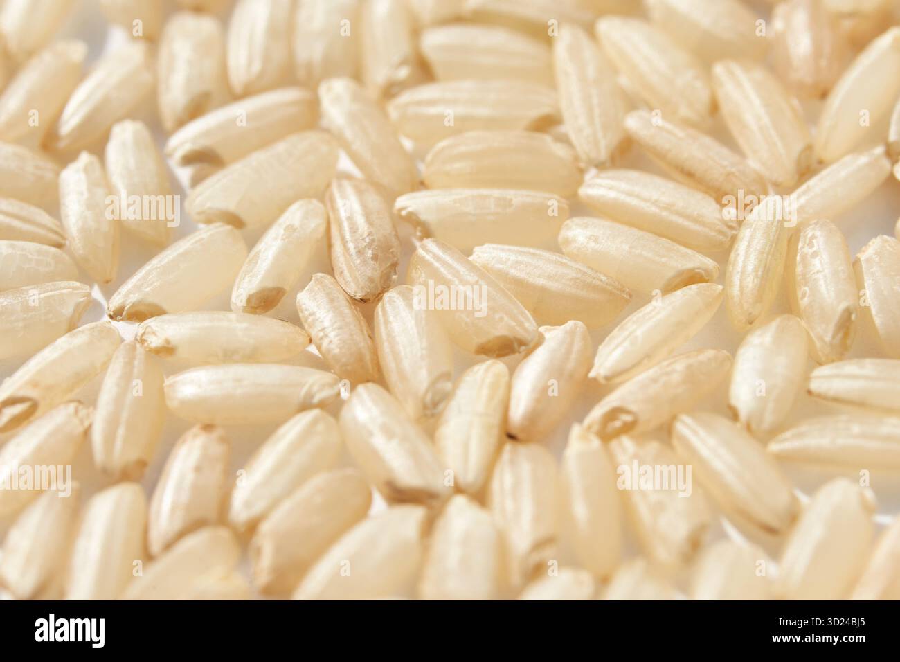 Primo piano di chicchi di riso integrale crudo che mostrano consistenza e dettaglio Foto Stock