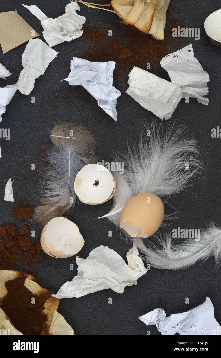 Educazione ambientale e di compostaggio, diversi tipi di rifiuti organici che possono essere trattati in un contenitore di compost: Carta, gusci d'uovo e piume. Foto Stock