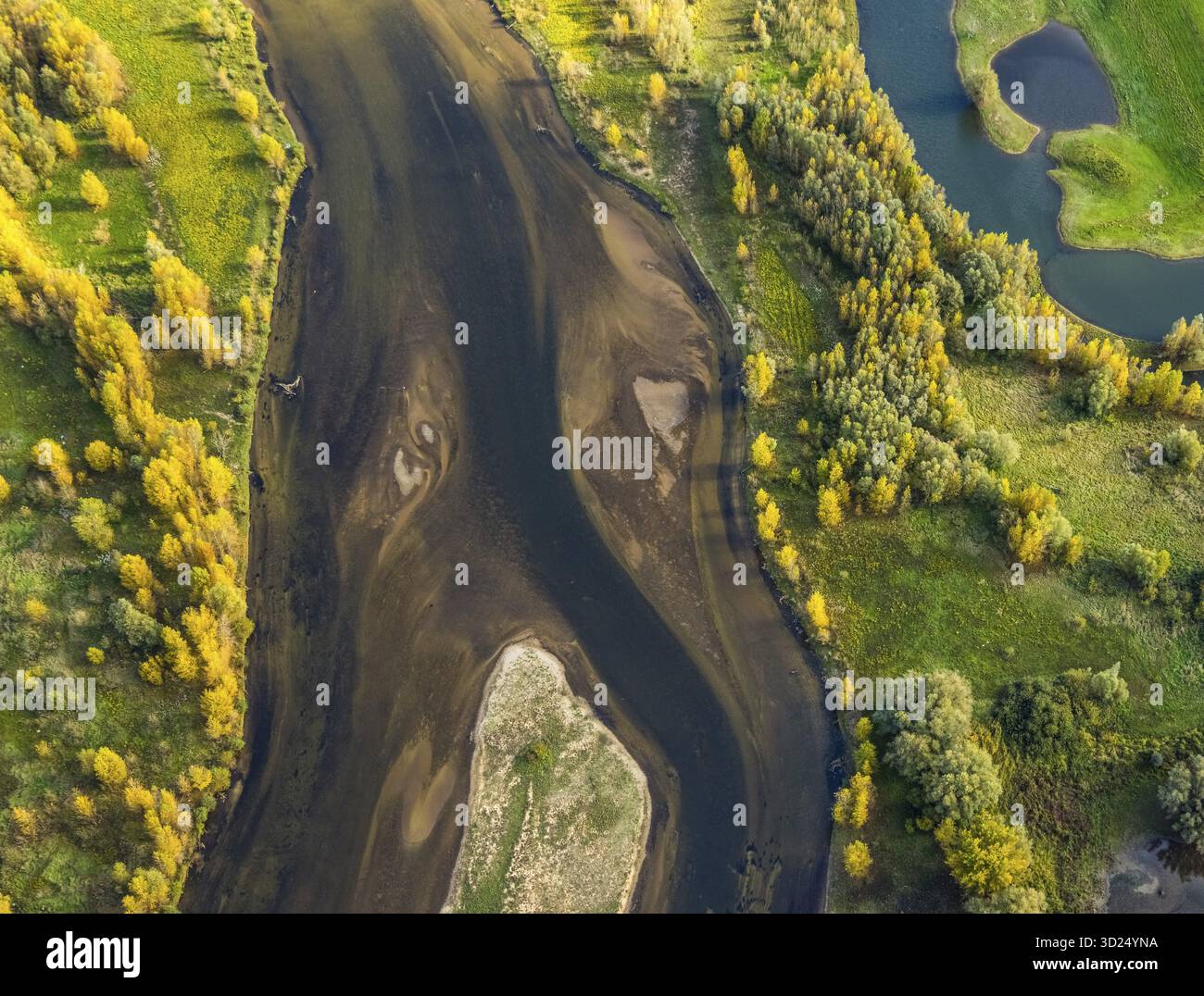 Vista aerea, estuario delle labbra, fiume Lippe e piccole isole con alberi autunnali nella riserva naturale NSG, forme e colori, Wesel, basso Reno, Nord Reno Foto Stock