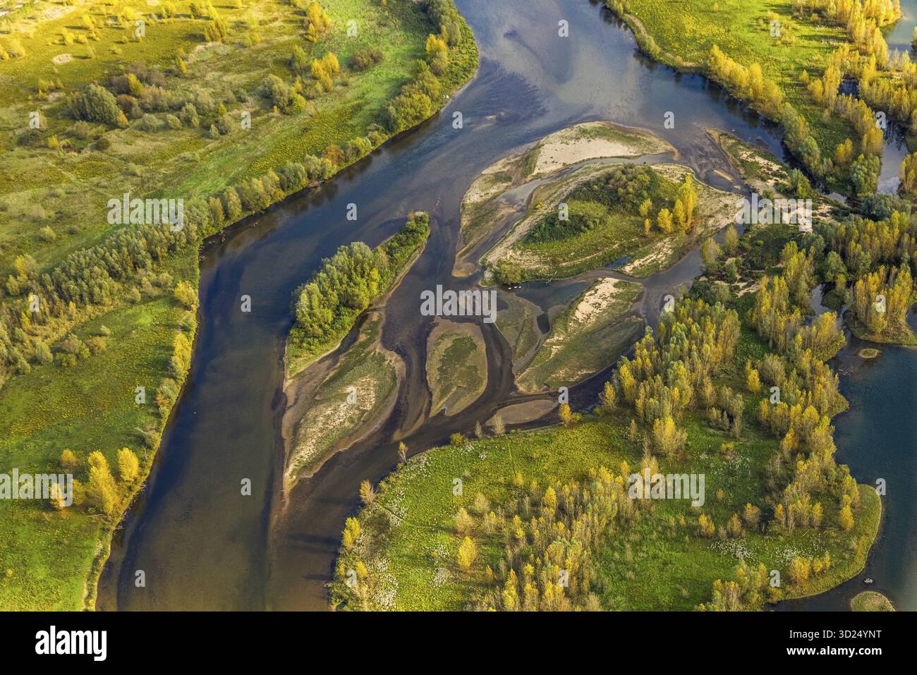 Vista aerea, estuario delle labbra, fiume Lippe e piccole isole con alberi autunnali nella riserva naturale NSG, forme e colori, Wesel, basso Reno, Nord Reno Foto Stock