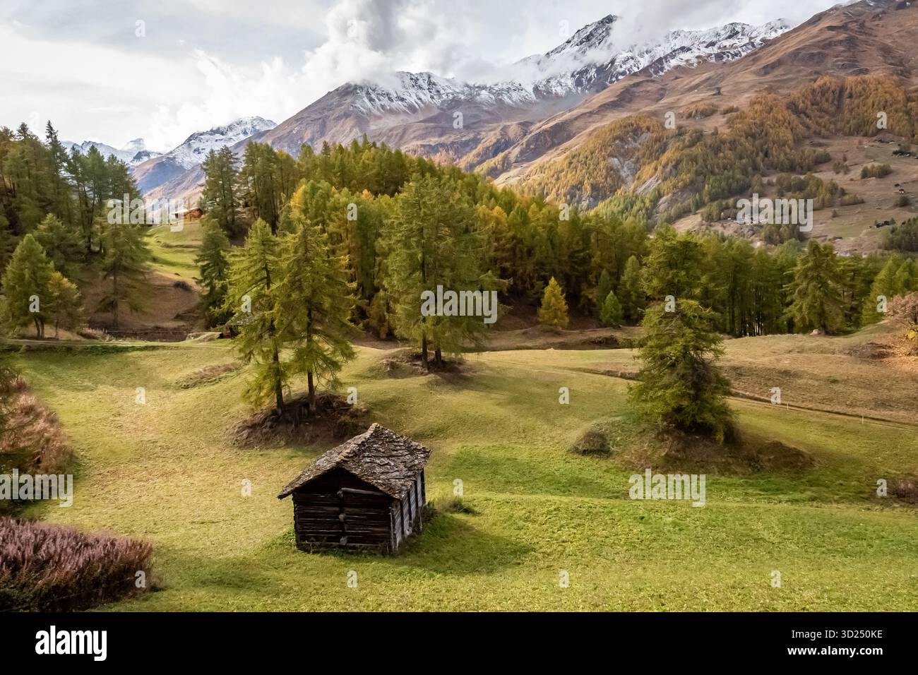 Vigneti in autunno lungo la valle del Rodano e il lago di Ginevra, in Svizzera Foto Stock