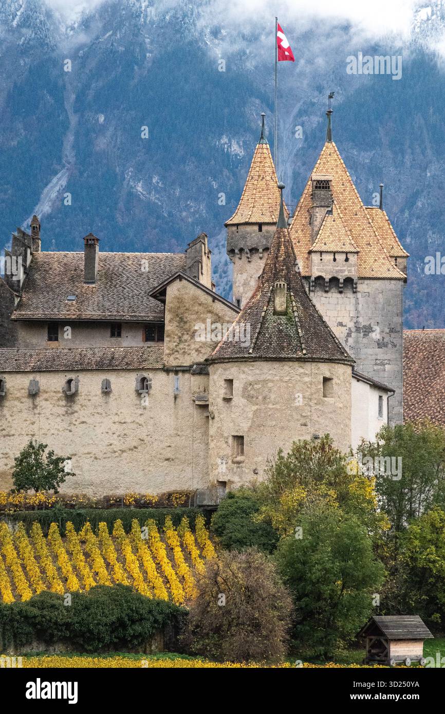 Vigneti in autunno lungo la valle del Rodano e il lago di Ginevra, in Svizzera Foto Stock