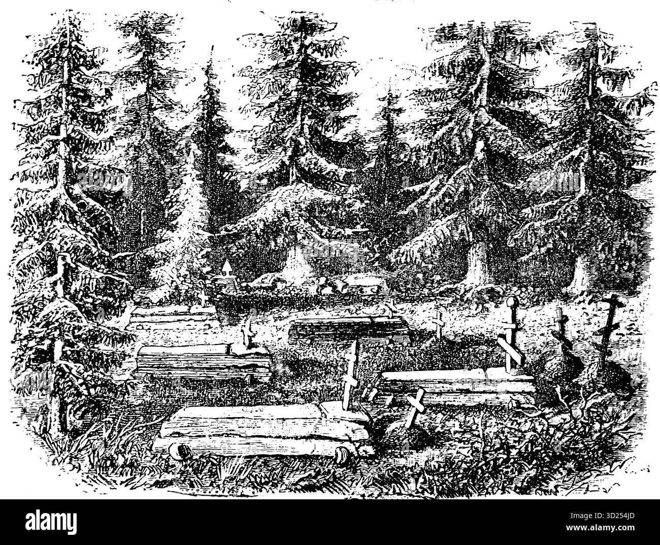 Tombe nel vasto mondo dei boschi siberiani, Russia, Siberia, Asia, illustrazione storica 1900 Foto Stock