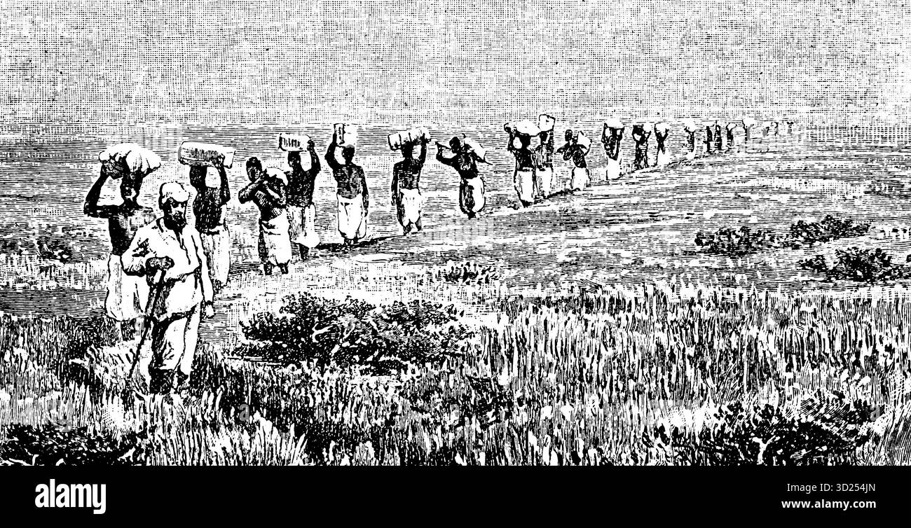 Una carovana dell'Africa orientale di persone locali che trasportano carichi in testa, guidata da un'illustrazione storica europea 1900 Foto Stock
