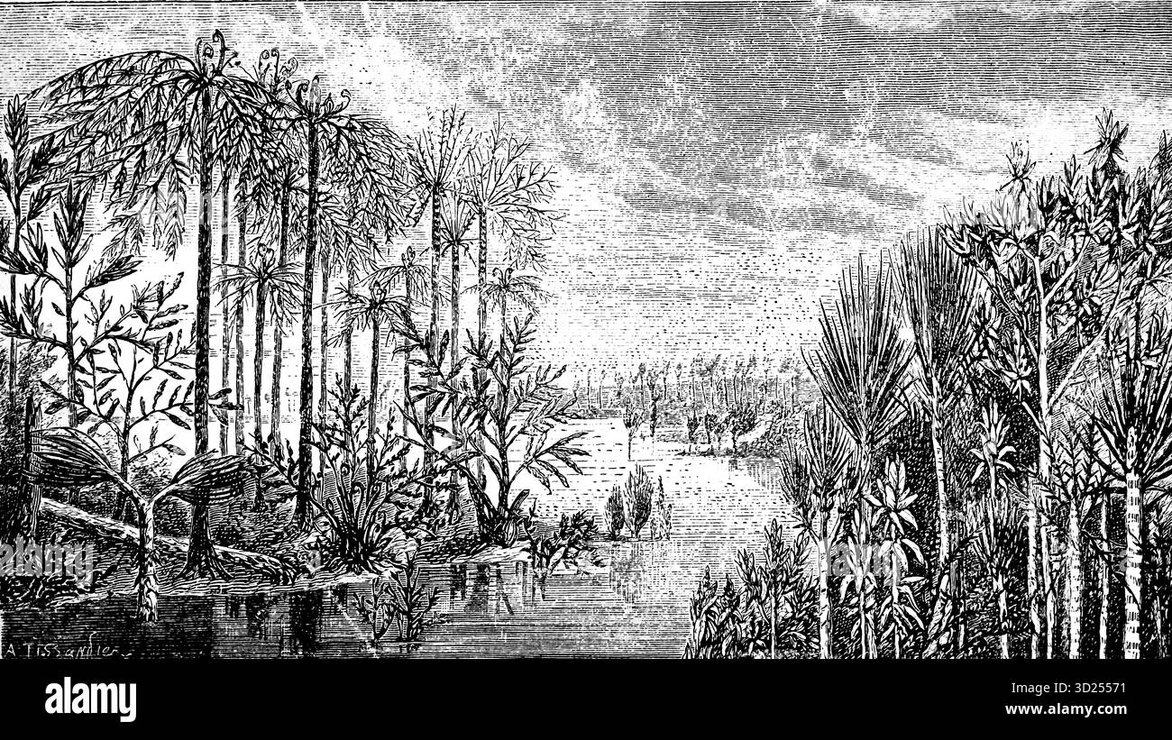 Veduta idealizzata di un paesaggio tipico del periodo carbonifero, illustrazione storica 1900 Foto Stock