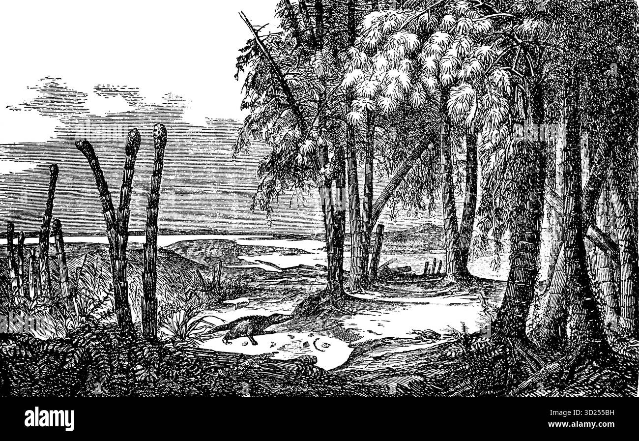 Paesaggio idealizzato del periodo Keuper-Lias, illustrazione storica 1900 Foto Stock