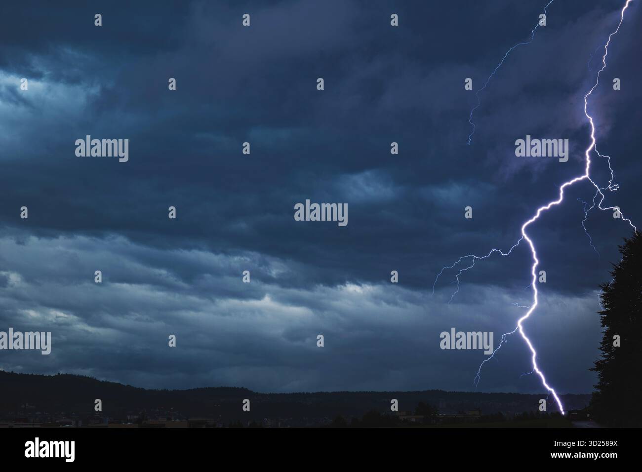 Il fulmine che si scarica verso la città sono terreni vicino ad un albero alto durante il temporale di notte. Visuale grandangolare, cieli nuvolosi spettacolari, nessuna persona Foto Stock