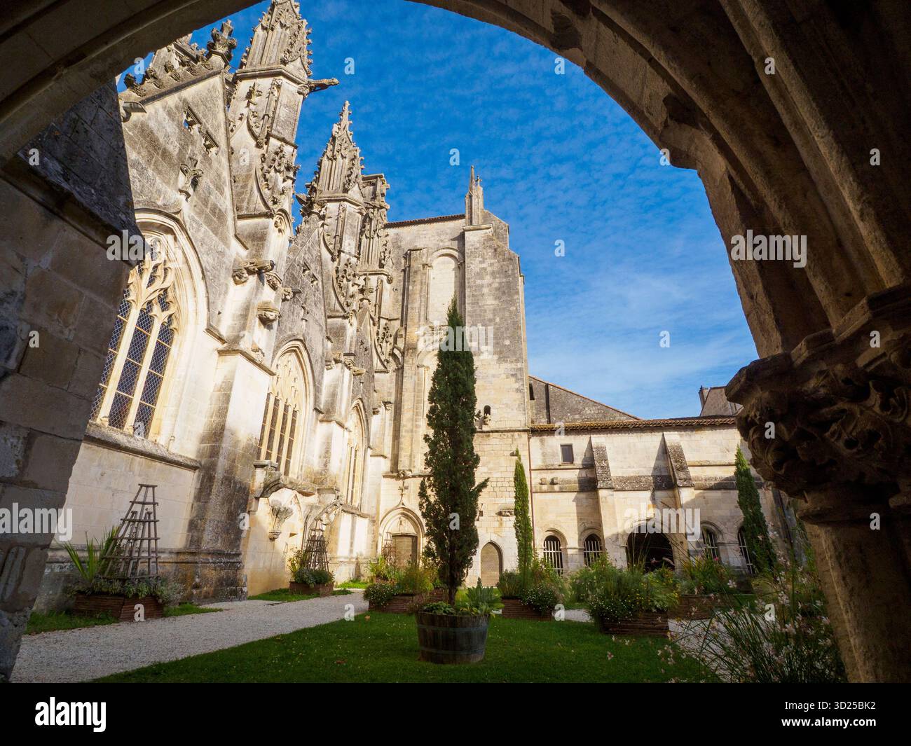 Cattedrale Saint-Pierre de Saintes, vista dal lato sud, dal giardino del chiostro. Foto Stock