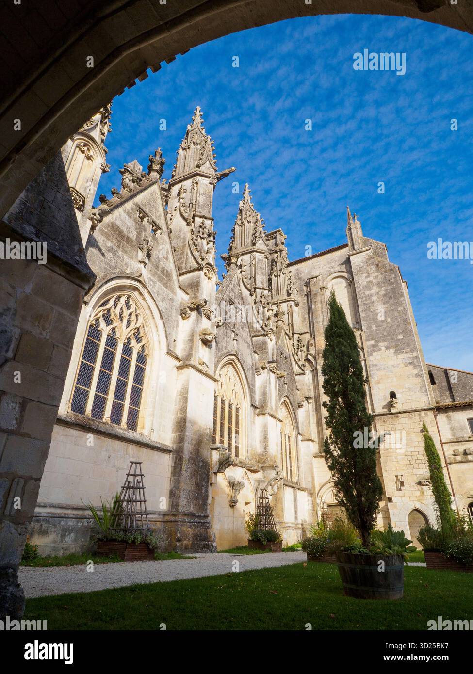 Cattedrale Saint-Pierre de Saintes, vista dal lato sud, dal giardino del chiostro. Foto Stock