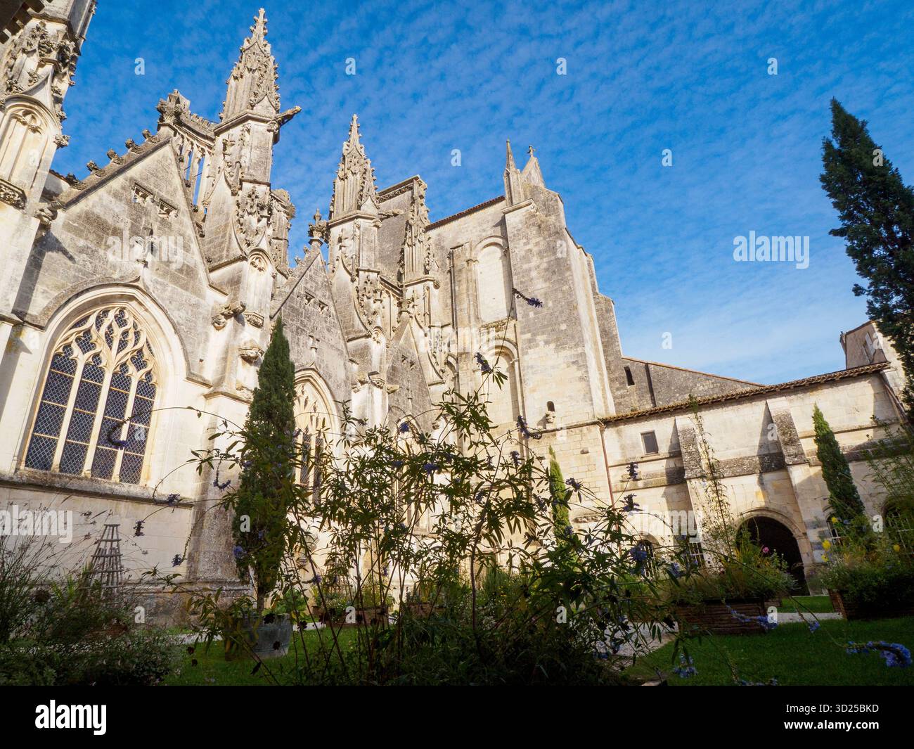 Cattedrale Saint-Pierre de Saintes, vista dal lato sud, dal giardino del chiostro. Foto Stock