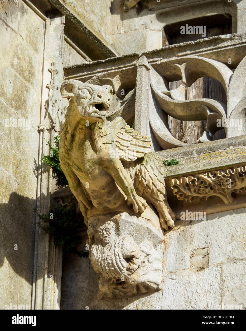 Cattedrale Saint-Pierre de Saintes, gargoyle nord del portico ovest. Foto Stock