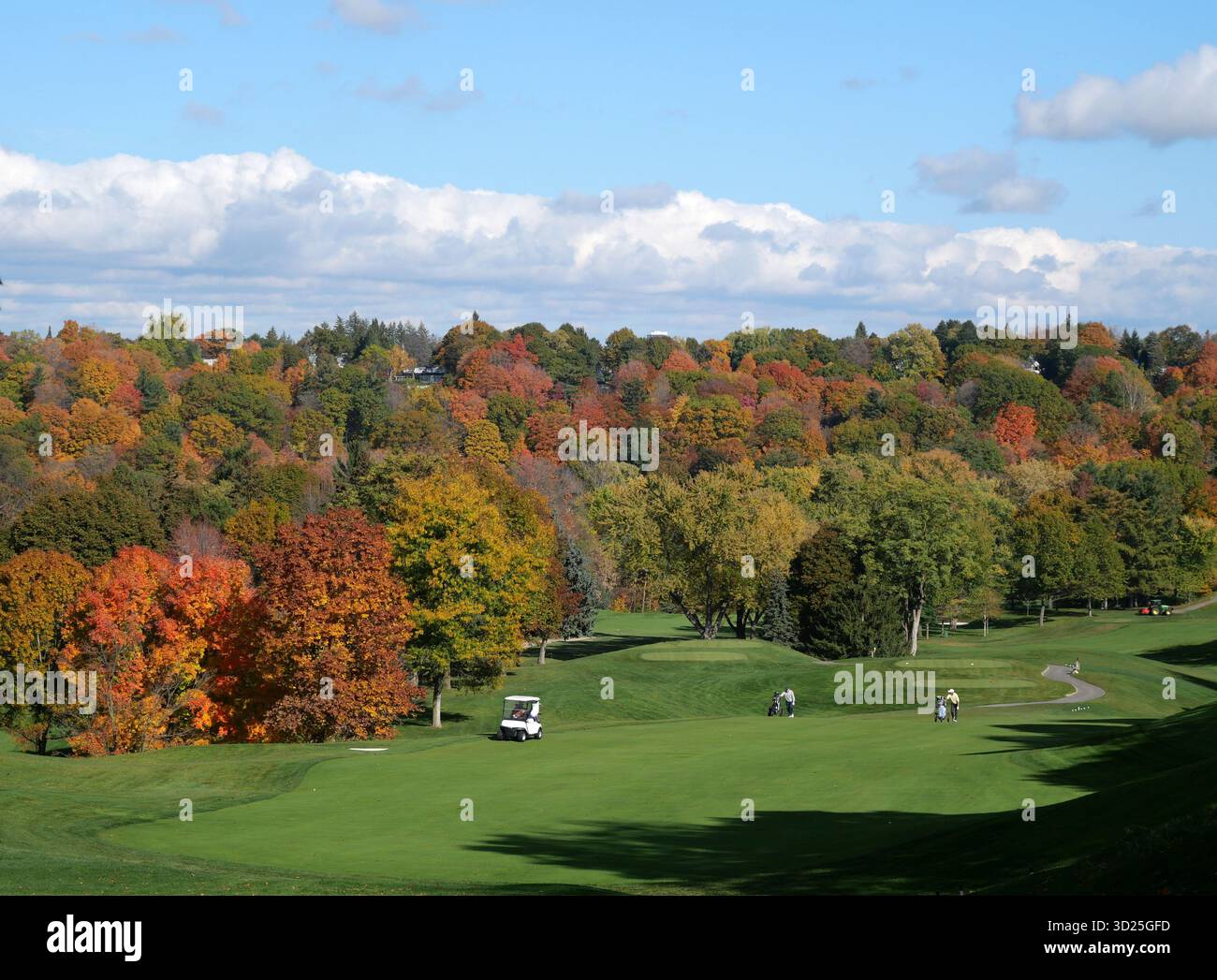 Campo da golf con colorate foglie autunnali Foto Stock