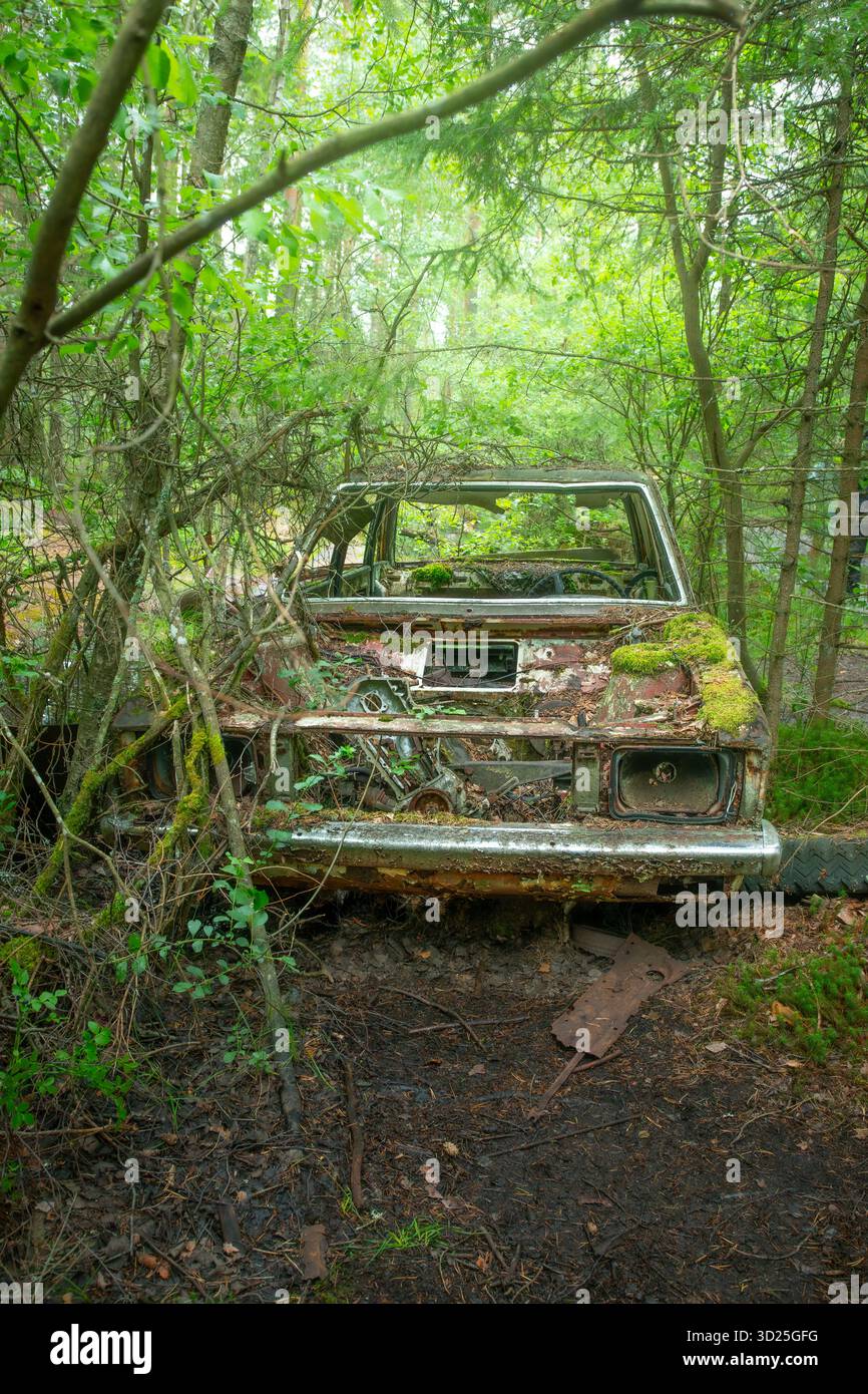 Kyrkö Car Cemetery ad Almundsryd, Svezia - Auto d'epoca abbandonate sovrastate da un ambiente naturale, unico cimitero automobilistico nel paesaggio nordico Foto Stock