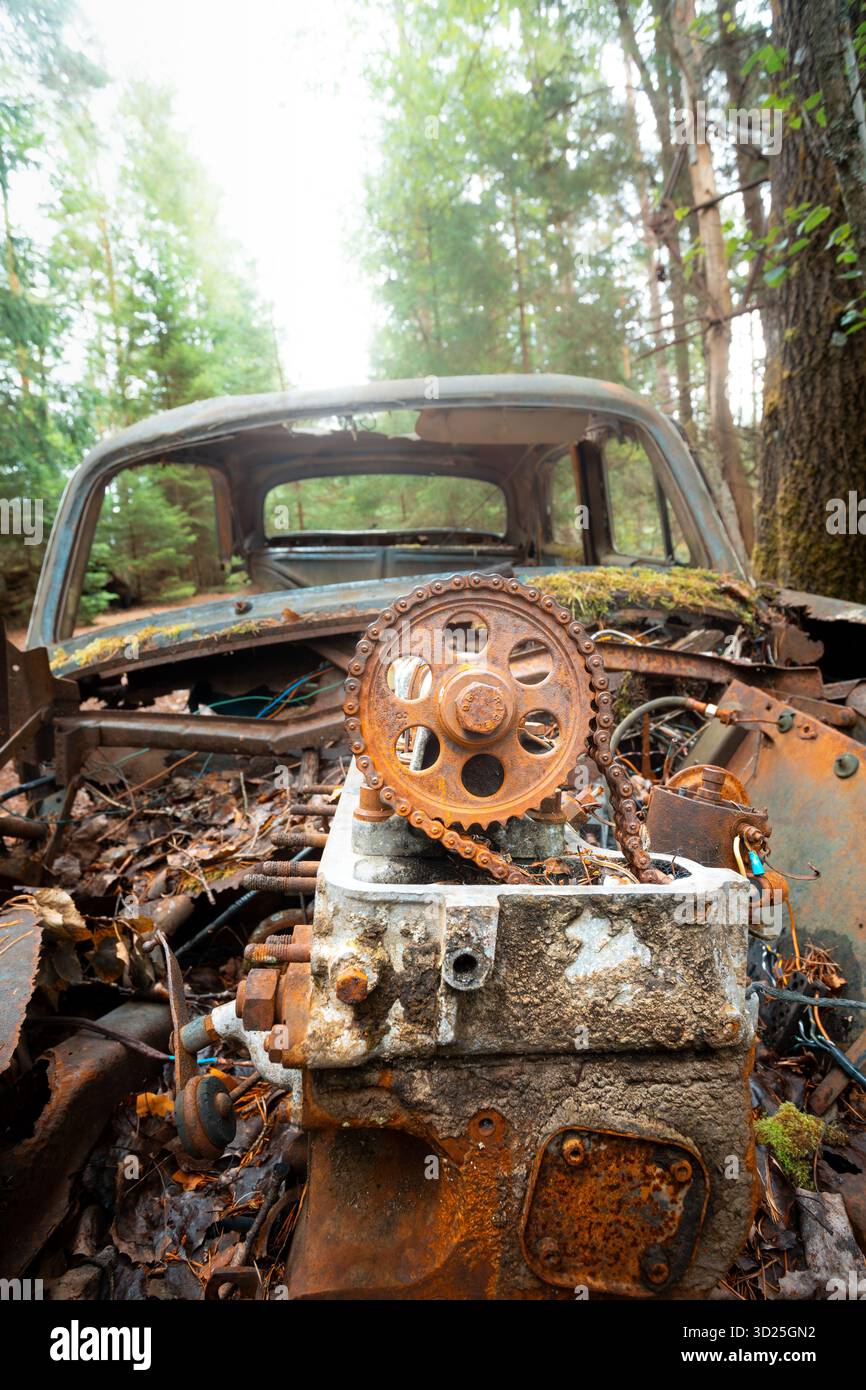 Kyrkö Car Cemetery ad Almundsryd, Svezia - Auto d'epoca abbandonate sovrastate da un ambiente naturale, unico cimitero automobilistico nel paesaggio nordico Foto Stock