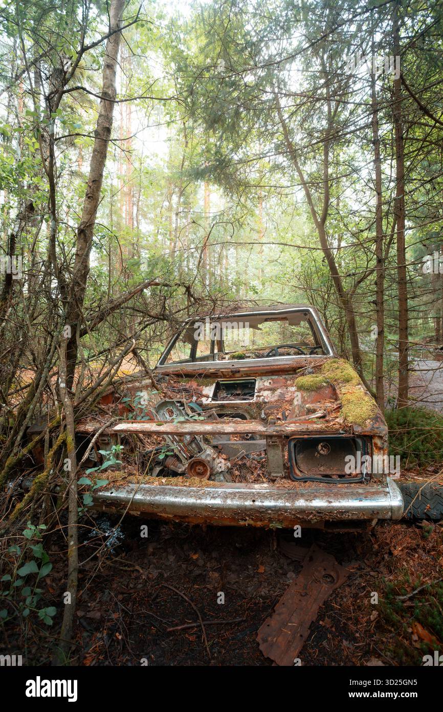 Kyrkö Car Cemetery ad Almundsryd, Svezia - Auto d'epoca abbandonate sovrastate da un ambiente naturale, unico cimitero automobilistico nel paesaggio nordico Foto Stock
