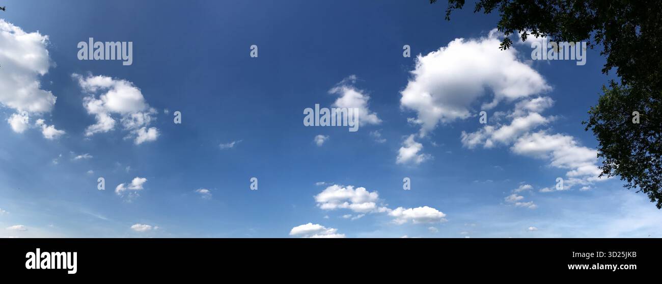 Una serena vista panoramica del cielo azzurro, punteggiato da nuvole bianche, completata da una silhouette di rami d'albero sul lato. Perfetto per il natur Foto Stock