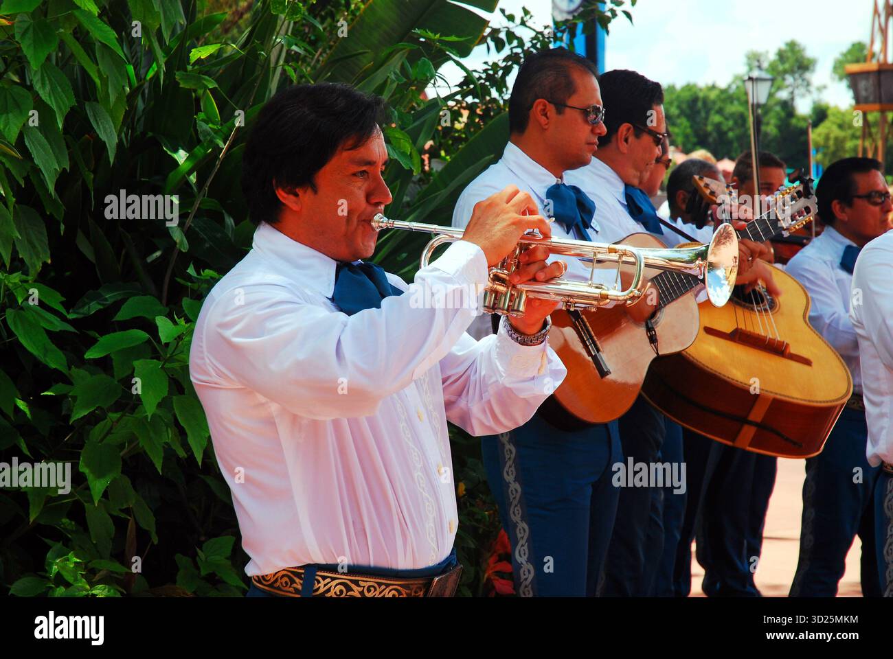 Una band Mariachi con corni e chitarre intrattiene gli ospiti in un ristorante messicano di Orlando, Florida Foto Stock