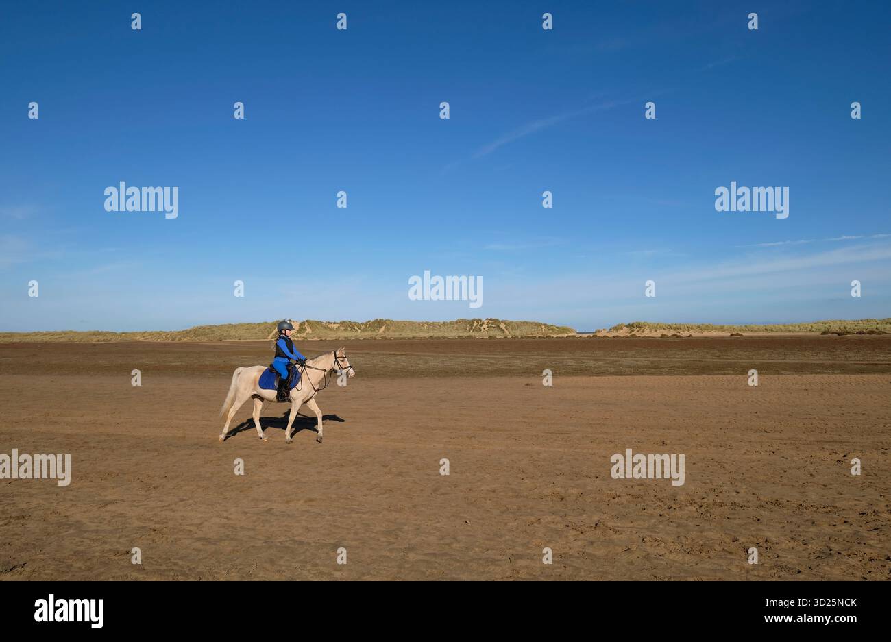 giovane cavaliere sulla spiaggia di holkham, nel nord di norfolk, in inghilterra Foto Stock