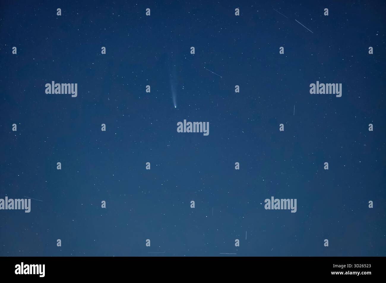 Astrofotografia della Cometa C/2025 A6 Lemmon, che si illumina nel cielo oscuro irlandese con campo stellato e sottili striature satellitari, subito dopo il tramonto del 29.10.2025 Foto Stock