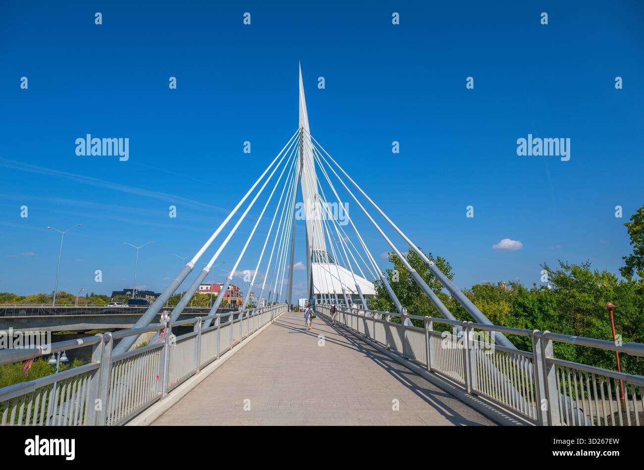 Esplanade Riel Footbridge sul Red River, The Forks, Forks National Historic Site, Winnipeg, Manitoba, Canada Foto Stock