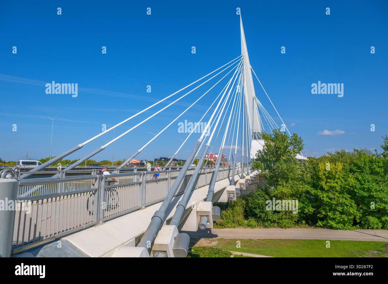 Esplanade Riel Footbridge sul Red River, The Forks, Forks National Historic Site, Winnipeg, Manitoba, Canada Foto Stock