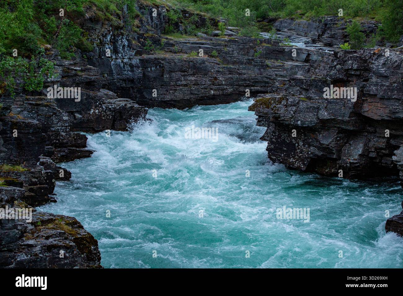 Le acque turchesi dello splendido fiume Abisko, Abiskojokk, che scorre tra le rocce del Canyon Abisko, Svezia, Nord Europa Foto Stock