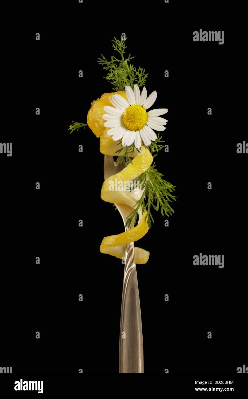 Limone e camomilla, ingredienti per un tè rilassante Foto Stock