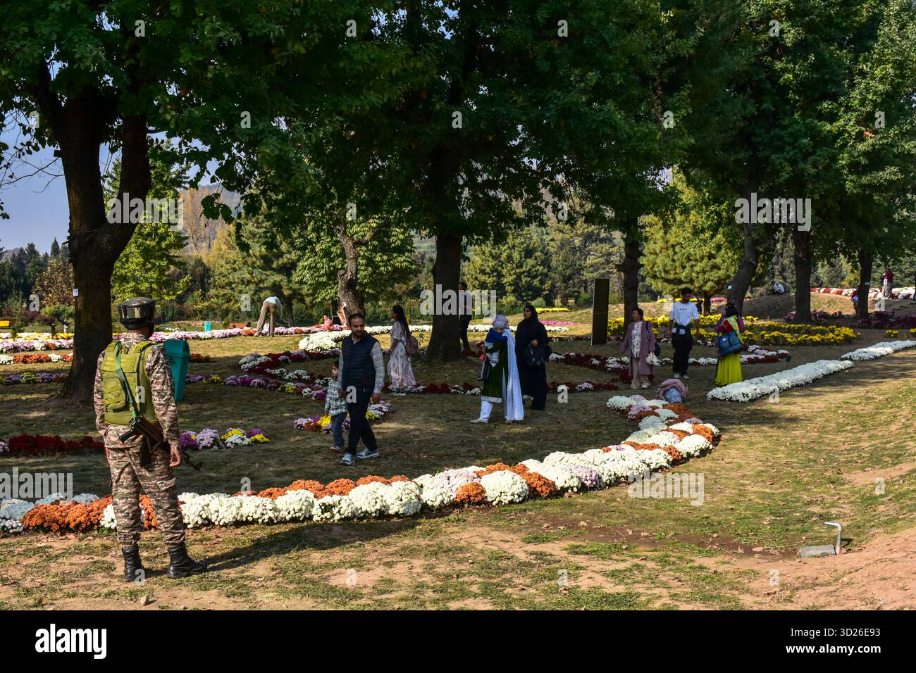 Un trooper paramilitare si mette in guardia mentre i visitatori esplorano il più grande giardino del Crisantemo dell'Asia e del Kashmir, localmente noto come "Gul-e-Dawood" a Srinagar. Nel tentativo di rilanciare il turismo dopo l'attacco militante di Pahalgam, che ha ucciso 26 persone, compresi i turisti. Il Kashmir ha svelato il suo primo e più grande giardino del Chrysanthemum in Asia, o Bagh-e-Gul-e-Dawood, a Srinagar. Quest'anno, 3.000.000 crisantemi in fiore, di oltre 50 varietà diverse, riempiono il giardino di cinque ettari. L'iniziativa mira a estendere la stagione turistica della regione oltre la fioritura primaverile dei tulipani, offrendo ai visitatori un colle Foto Stock