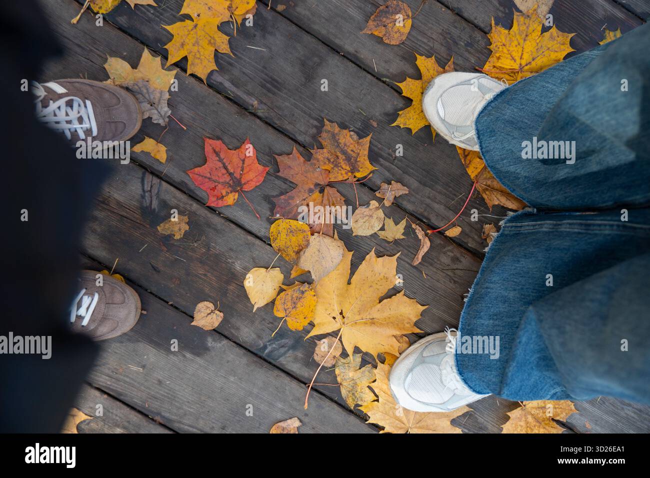 Primo piano di due paia di scarpe in piedi su un sentiero di legno ricoperto da foglie autunnali colorate di tonalità giallo, arancione e rosso Foto Stock