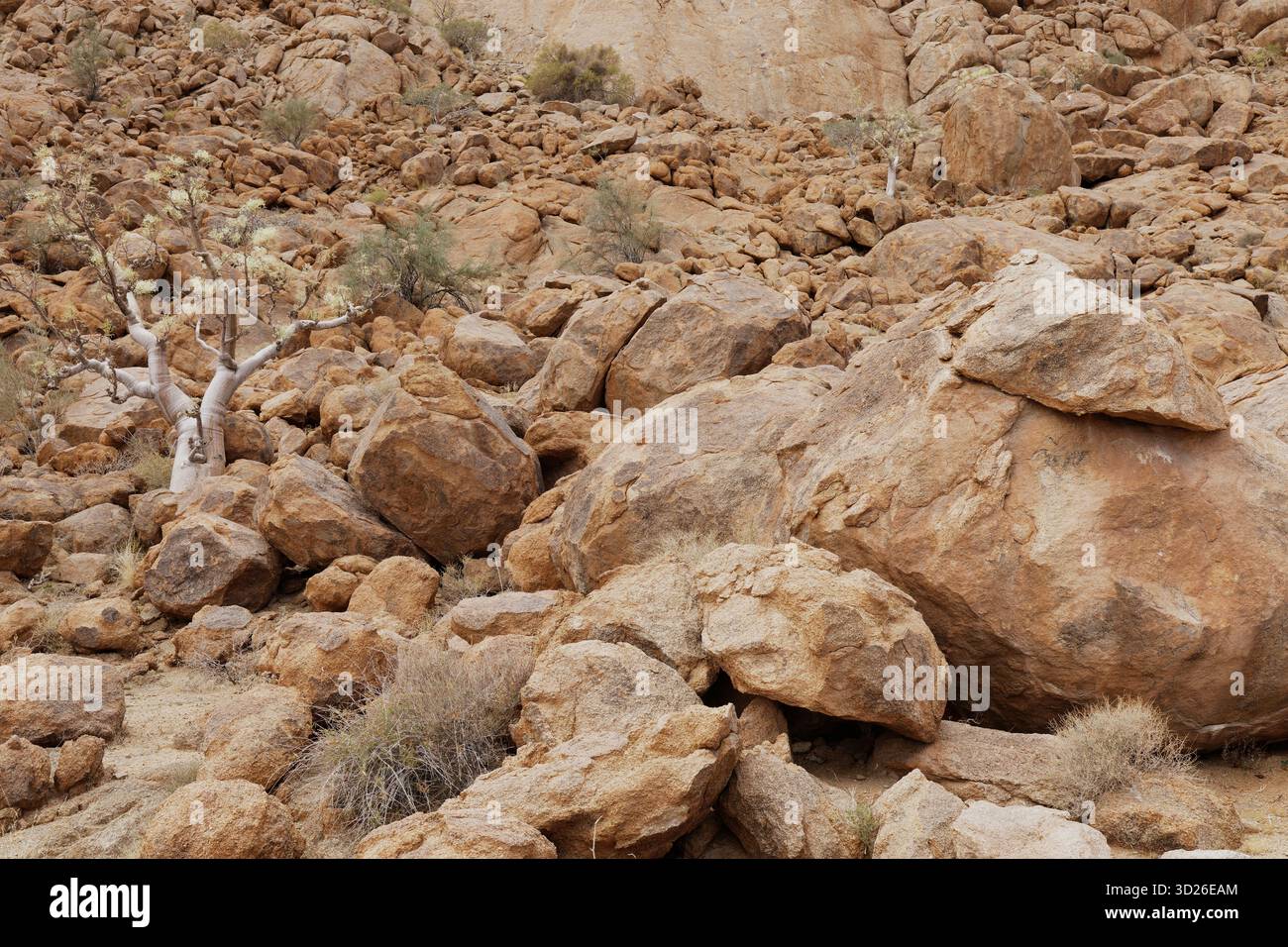 Rocce e massi Foto Stock