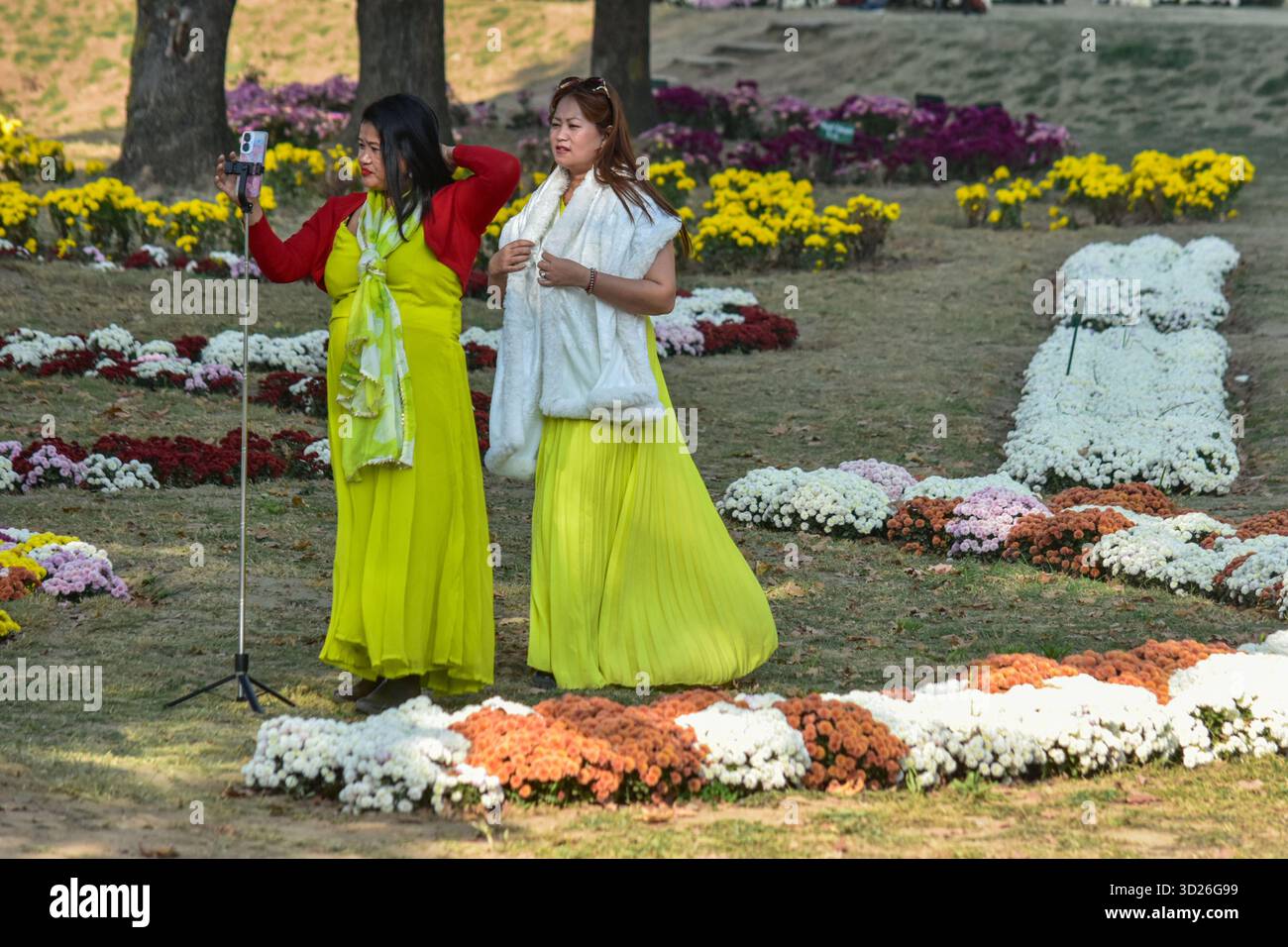 Srinagar, India. 30 ottobre 2025. I visitatori si riprendono al più grande giardino del Crisantemo dell'Asia e del Kashmir, conosciuto localmente come "˜Gul-e-Dawood" a Srinagar. Nel tentativo di rilanciare il turismo dopo l'attacco militante di Pahalgam, che ha ucciso 26 persone, compresi i turisti. Il Kashmir ha svelato il suo primo e più grande giardino del Chrysanthemum in Asia, o Bagh-e-Gul-e-Dawood, a Srinagar. Quest'anno, 3.000.000 crisantemi in fiore, di oltre 50 varietà diverse, riempiono il giardino di cinque ettari. L'iniziativa mira a estendere la stagione turistica della regione oltre la fioritura primaverile dei tulipani, offrendo Foto Stock