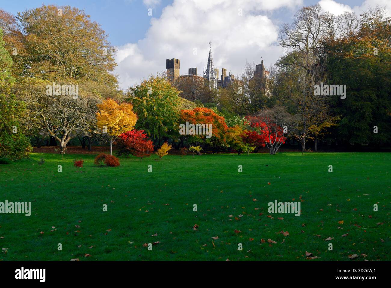 Scena autunnale del castello di Cardiff dal Cooper's Field/Castle Grounds, Bute Park. Centro città, Galles del Sud, Regno Unito. Presa ottobre 2025 Foto Stock