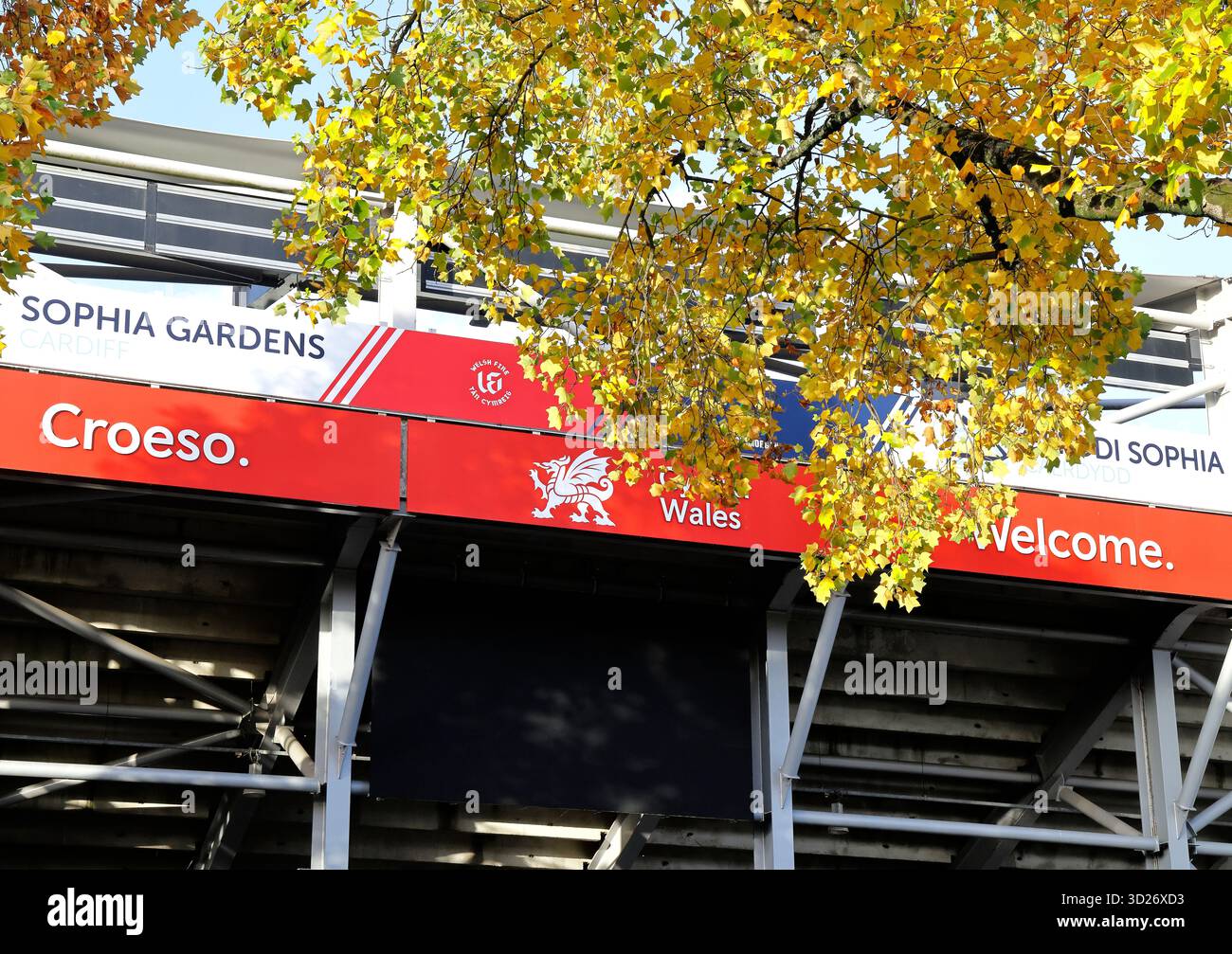 Glamorgan County Cricket Ground, (Criced Morgannwg), Sophia Gardens, Cardiff City Centre, South Wales, REGNO UNITO. Autunno. Presa ottobre 2025 Foto Stock