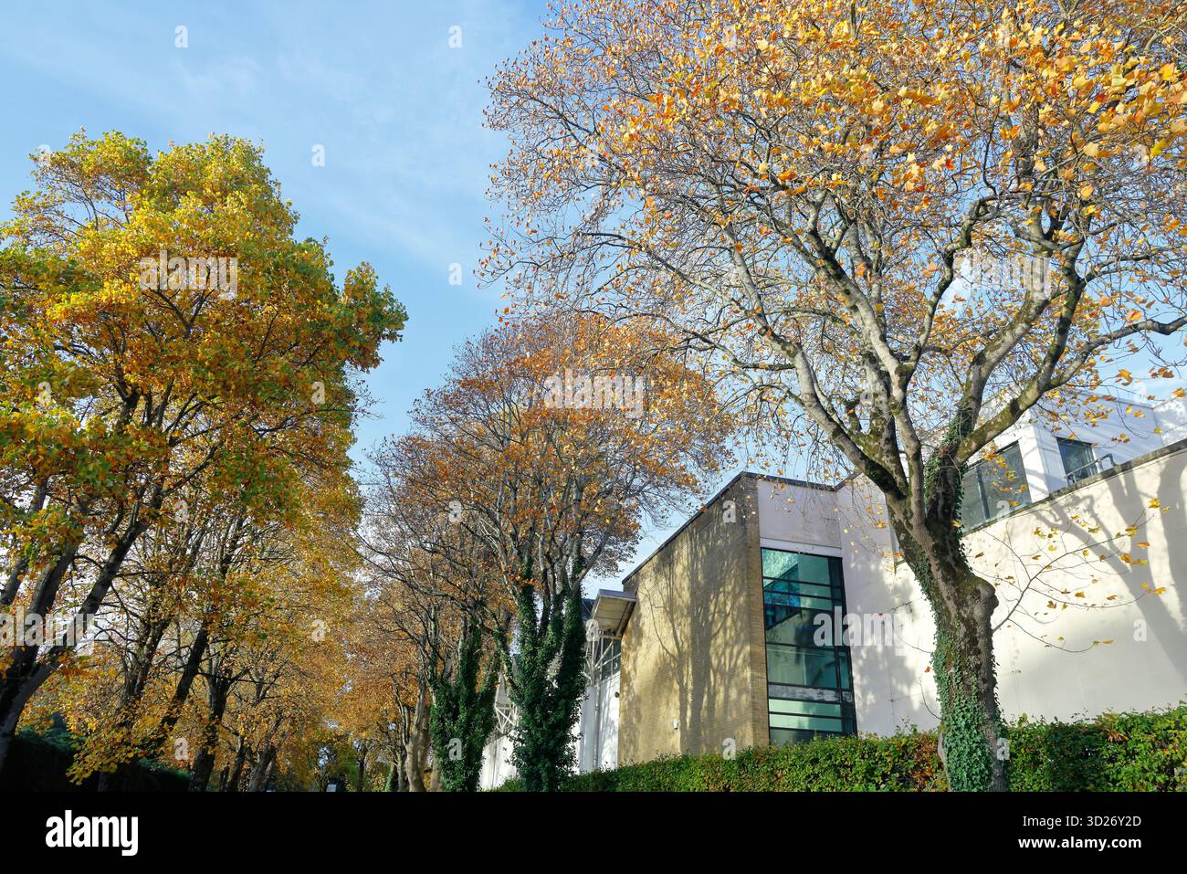 Vista laterale del Glamorgan County Cricket Building (Criced Morgannwg), Sophia Gardens, Cardiff City Centre, South Wales, Regno Unito. Autunno. Presa ottobre 2025 Foto Stock