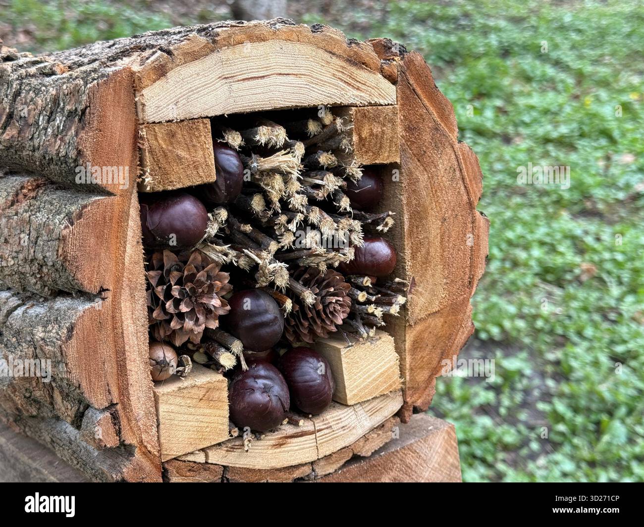 Casa per insetti rifugio per insetti e luoghi di nidificazione per vari insetti benefici Foto Stock