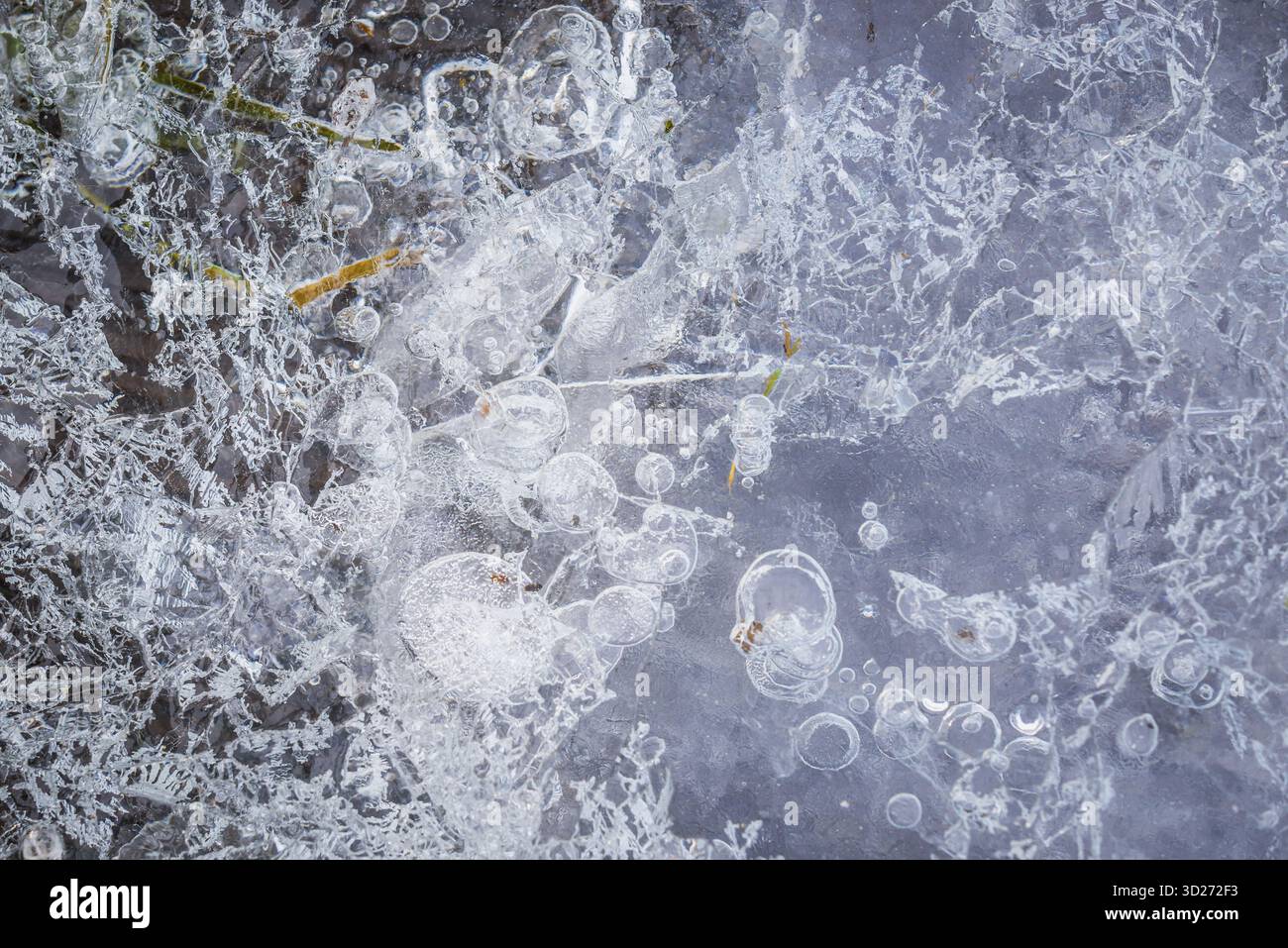 Primo piano su un ghiaccio di fiume ghiacciato con bolle Foto Stock