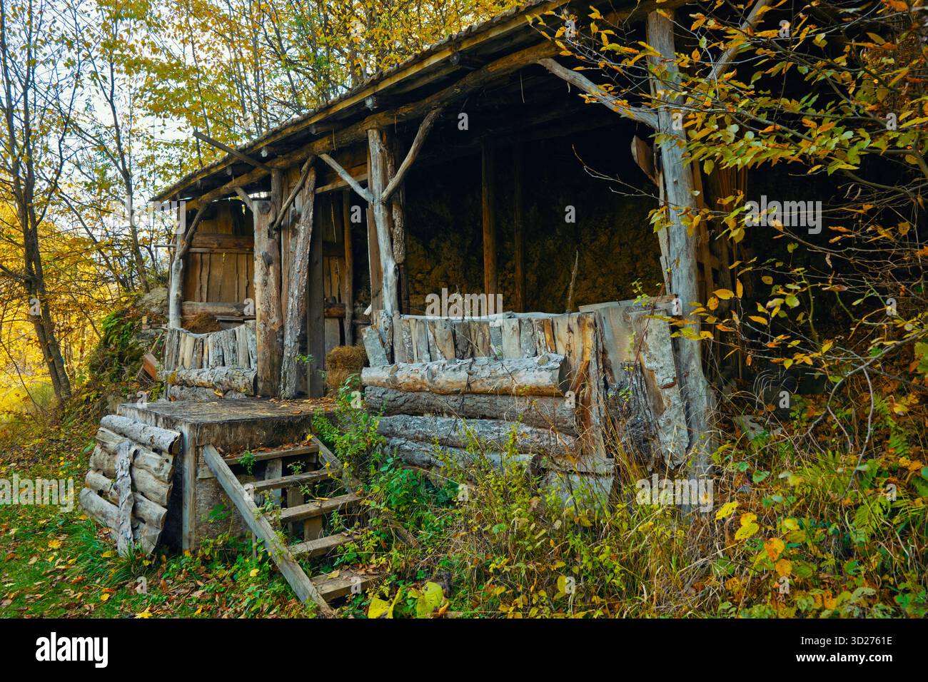 Una cabina rustica con un portico e gradini che vi conducono. La veranda è vuota e i gradini sono ricoperti di foglie. La cabina è circondata da alberi e t Foto Stock