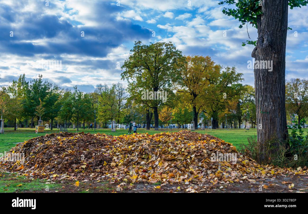 Pile di foglie cadute nel Volkspark Friedrichshain, uno dei parchi pubblici più antichi di Berlino, in autunno. Stagione autunnale a Berlino, germania. Foto Stock